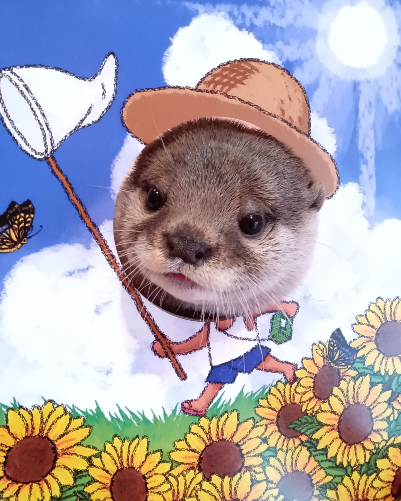 カワウソ梅 コツメカワウソ - プラネット ズー