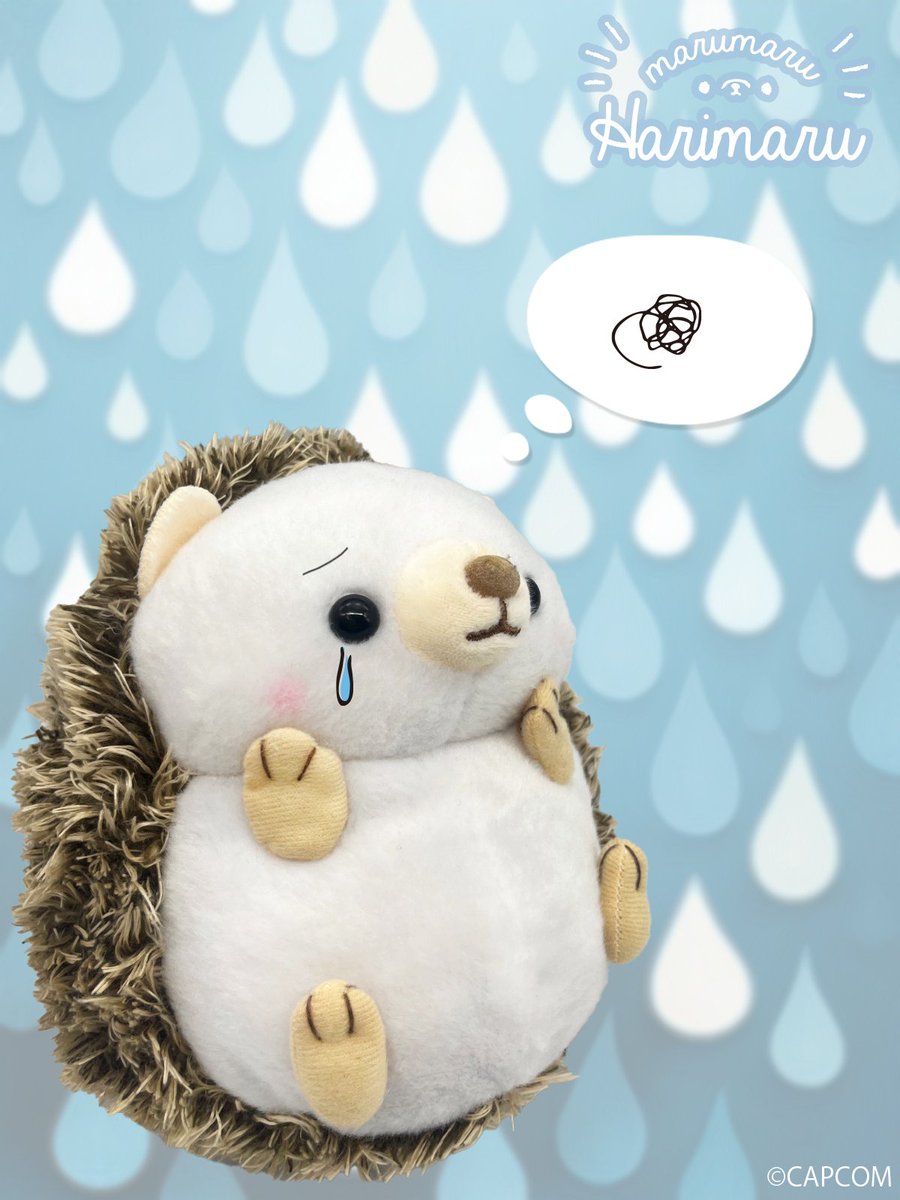 ooHARIMARU's tweet image. きょうは #泣く日 ！

ときにはなみだをながすことも たいせつなのですよ😭

＃はりまる🦔