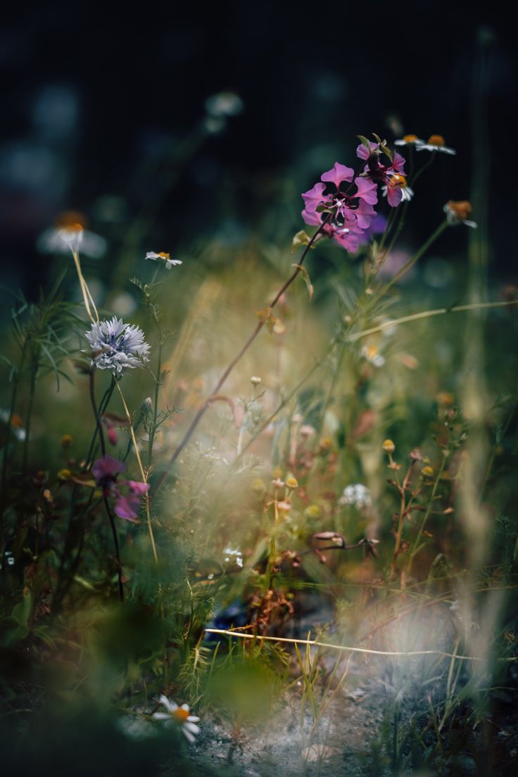 violetviolet (@violetviol11) on Twitter photo 