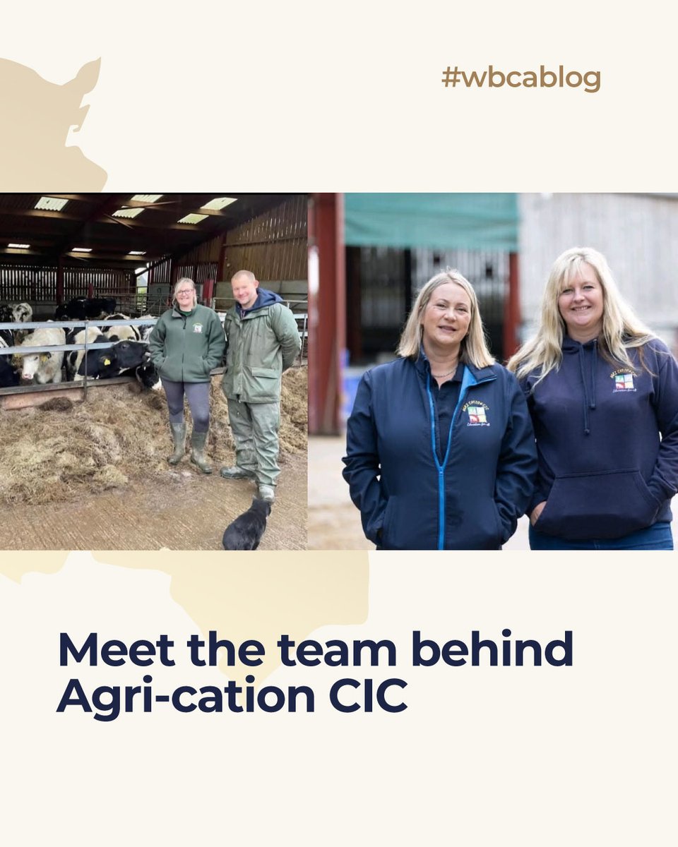 WrexhamBCA tweet media