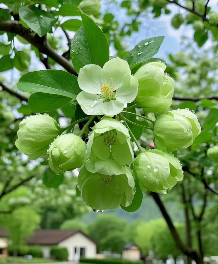 قيمتك ما تنقص عشان رأي حد فيك ✋🏼

خلك واثق، وعارف إنك تستاهل الخير، وتستاهل توصل

ما شرط الكل يفهمك… المهم إنت تفهم نفسك وتقدّرها ❤️

تراك أقوى مما تتصور، بس لا تنسى تنصف نفسك أول 💪🏼✨

#سهالات #فض_ال
#صباح_الخير #ملتقي_اجواء_الاشخره