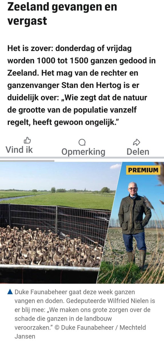 #BBBlevert
pzc.nl/middelburg/nu-… <a href="/WRLNielen/">Wilfried Nielen</a>