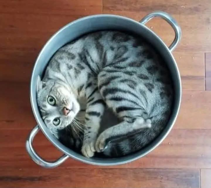 ВТ (@j4elcvtyg7mvziz) on Twitter photo 