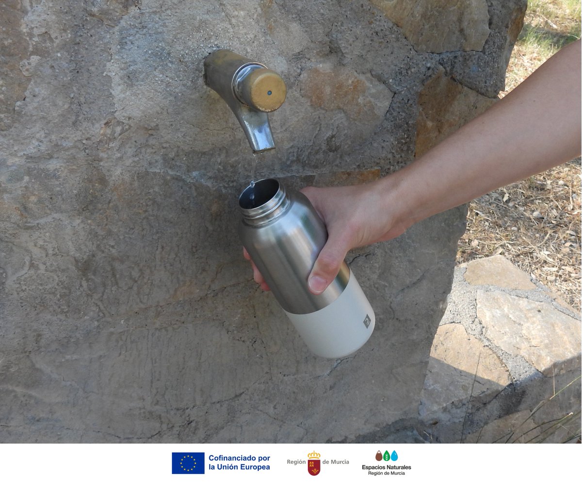 Con el #Calor del verano, visita #ElVallePR con #Precaución 🥵☀️

✅ Evita las horas centrales del día
✅ Lleva agua, ropa ligera, gorra y protección solar
✅ Busca sombra y descansa
✅ Informa a alguien de tu ruta

Disfruta la #Naturaleza con #Seguridad

#BuenasPrácticas