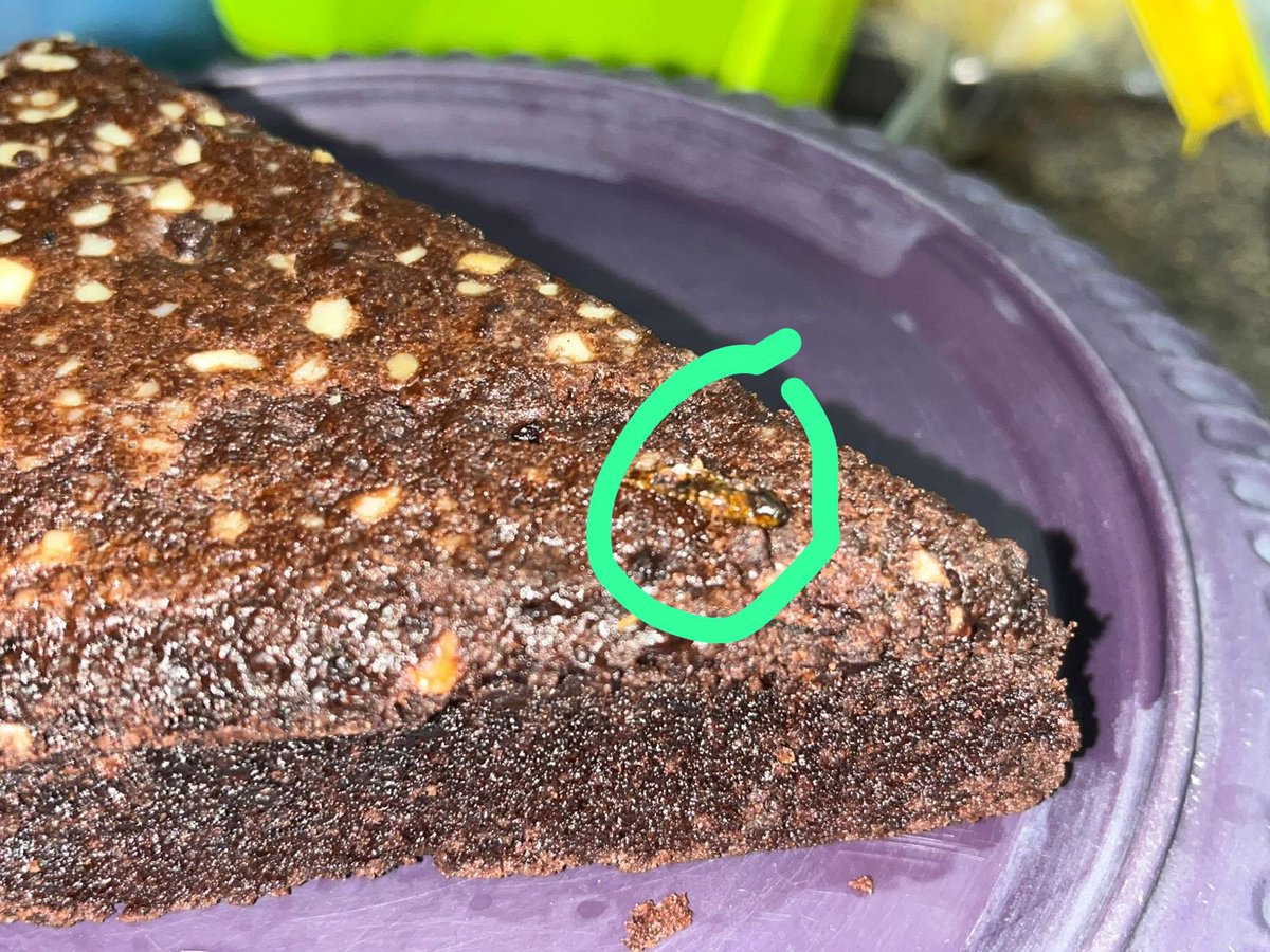 bharad's tweet photo. .@fssaiindia  

Found cockroach in one of the brownies purchased from Bon Bon Bakery, Sec-18, Noida.  🪳

Please ensure strictest action so that hygiene &amp; food safety are maintained by the establishment.

So disgusting 🤮 🤮🤮 https://t.co/jUI3e6IzHL