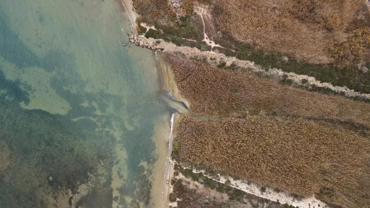 1️⃣🔥 El Mar Menor ha alcanzado los 32 grados centígrados por primera vez en su historia. No es una ola de calor. Es una olla. Y dentro, un ecosistema único cuece lentamente mientras políticos, regantes y empresas se lavan las manos.

🧵Abrimos hilo. Porque esto es un crimen.