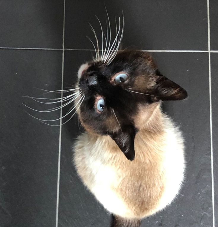 dotmails's tweet image. 