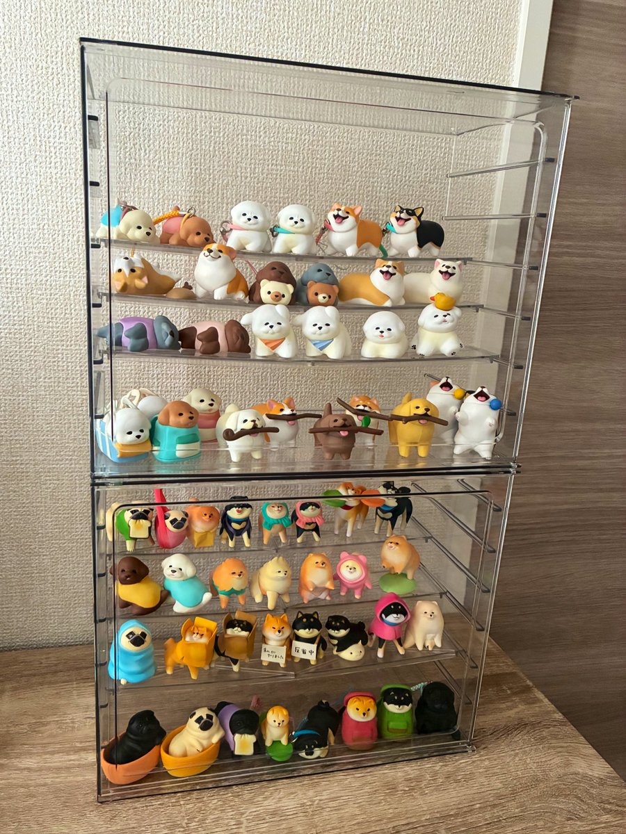 inuga_suki__'s tweet image. コレクションも無事お引っ越し完了😌
荷造りでお迎えしたまま段ボールに眠ってた いい感じの棒をゲットした犬、やっと開封できた〜!可愛すぎる…🥹💖
来月出る幼稚園に通うアザラシも楽しみ🦭