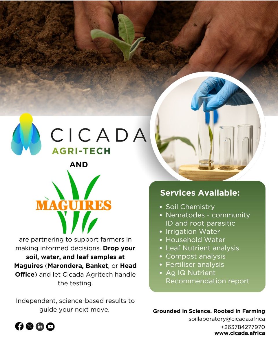 Cicada Agri-Tech has teamed up with Maguires in Marondera and Banket to bring transparent, unbiased laboratory analysis to their valued customers. 🧪 

Drop off your soil, water, leaf, fertiliser, or compost samples at the Maguires depot without the Harare hustle.

✅ Get clarity