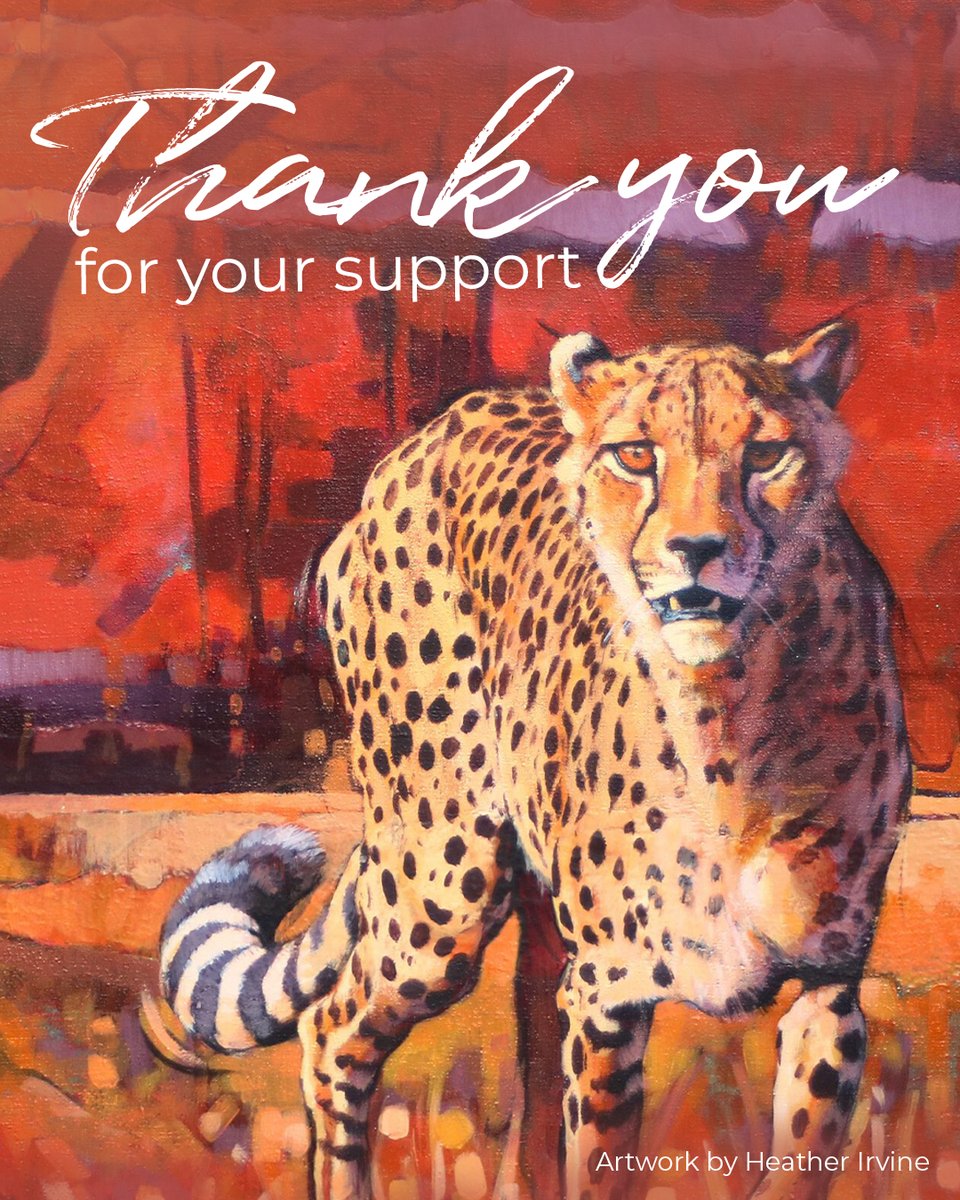 THANK YOU.

We wanted to take a moment, now that the dust has settled, to say a heartfelt and genuine thank you to our artist community.🌍🐘

You have made a lasting impact on our vital conservation efforts and helped continue David Shepherd’s legacy✨

🔗bit.ly/WAY25
