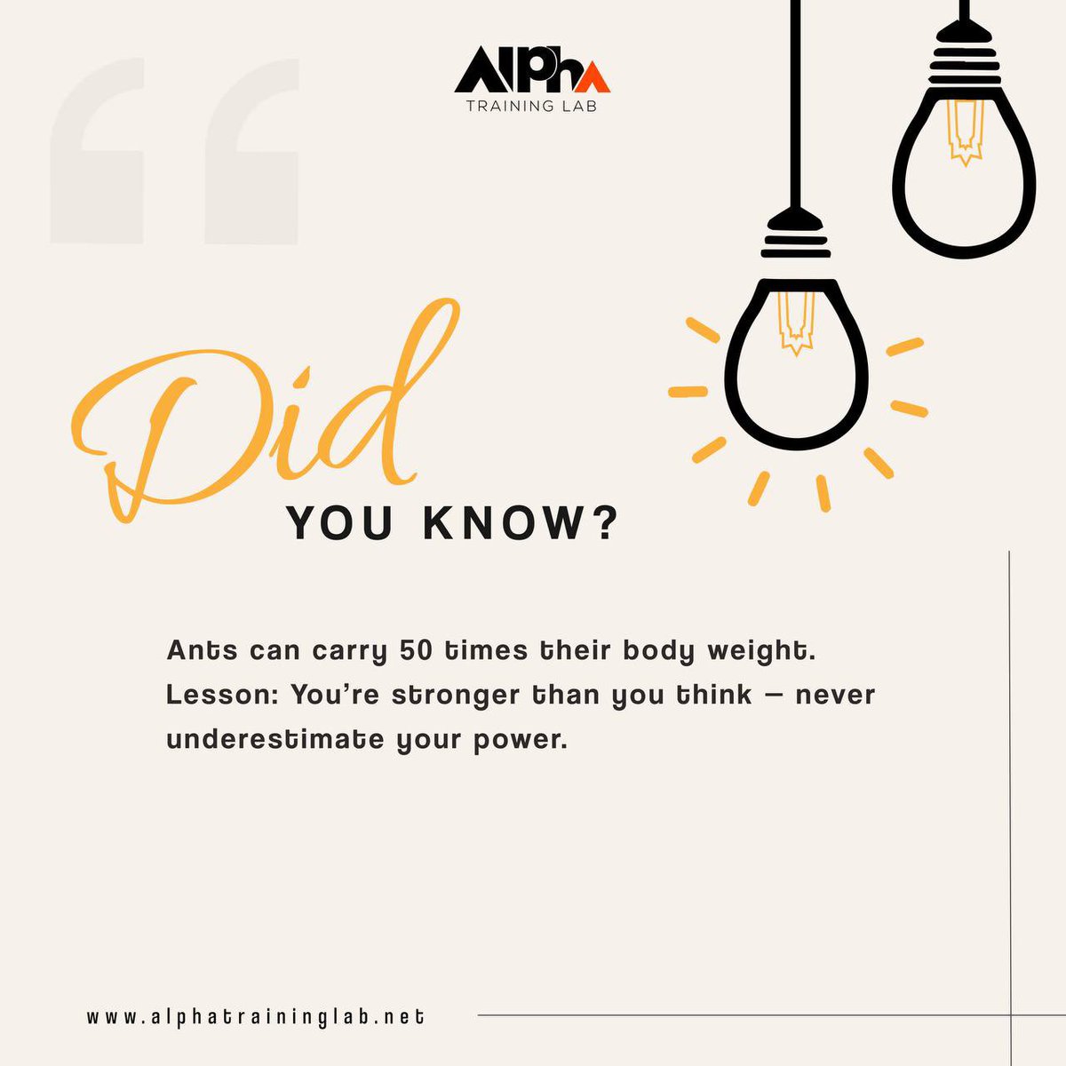 AlphaTrainingL's tweet image. Did you know 💡? 
#FunFactWednesday
#AlphaTrainingLab