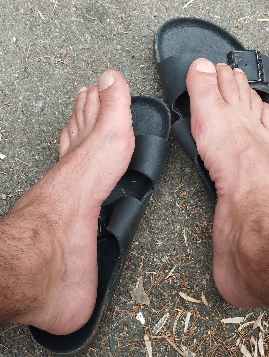 Ireioff's tweet image. 