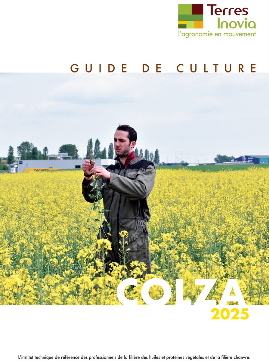 [ÉDITION]

La nouvelle édition du guide de culture colza est disponible en téléchargement et à la commande sur notre site.

terresinovia.fr/p/guide-cultur…