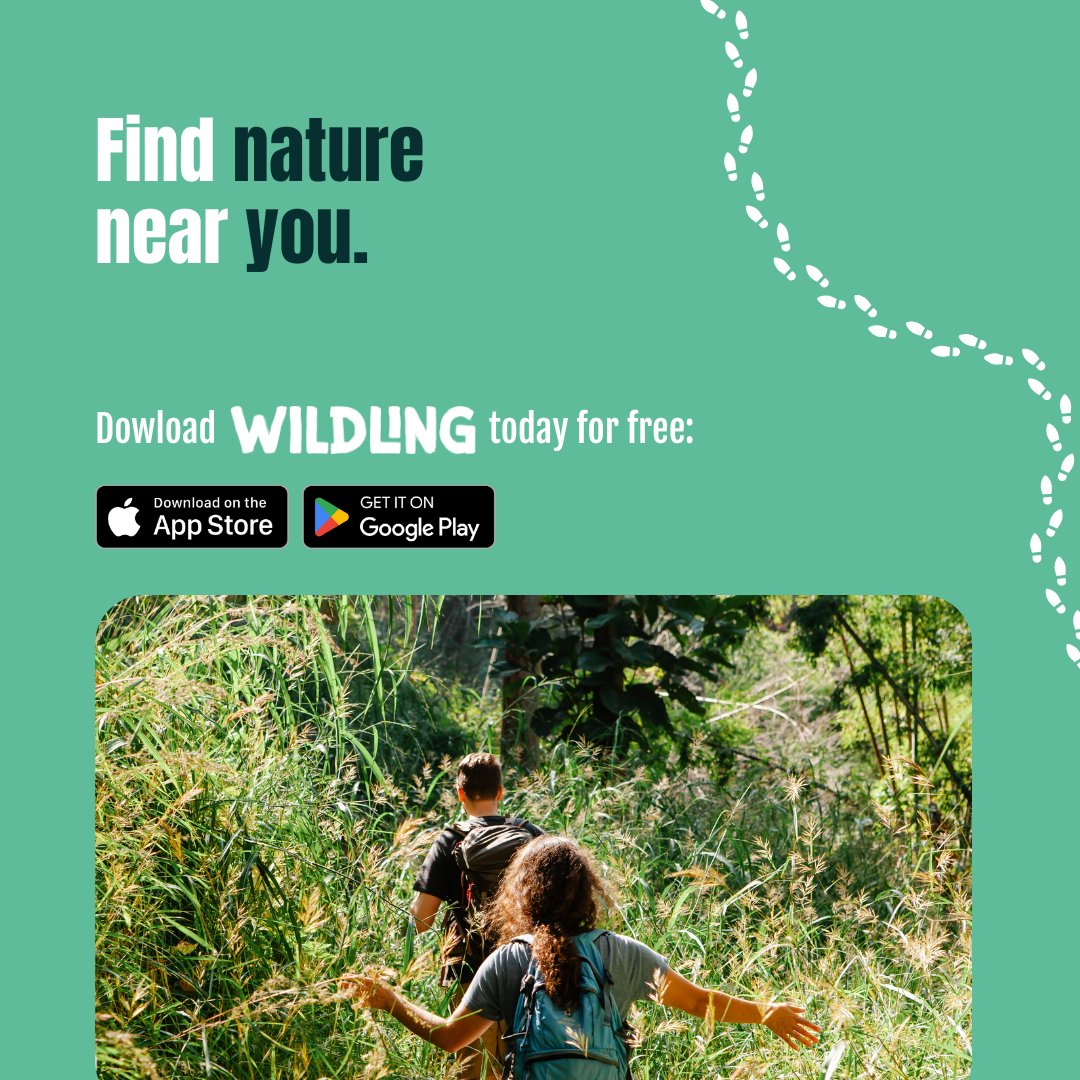 RSPB (@natures_voice) on Twitter photo Wildling, a new, free mobile app, launches today! 🍃
From secret woods to riverside trails to *stunning* RSPB reserves (not that we’re biased), it brings wild places & hidden green spots together in one simple place. 
Download now & start exploring: brnw.ch/21wU0ga Wildling, a new, free mobile app, launches today! 🍃
From secret woods to riverside trails to *stunning* RSPB reserves (not that we’re biased), it brings wild places & hidden green spots together in one simple place. 
Download now & start exploring: brnw.ch/21wU0ga