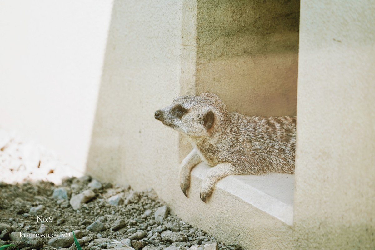 ▷ I wish you a good day.  …