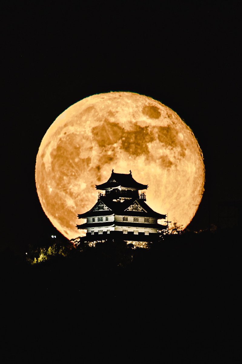 お城の後ろから月昇ってきてカッコ良すぎた