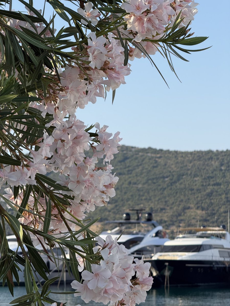 instblt's tweet image. трохи моря та щасливої мене вам в стрічку. постскриптум. щаслива я буваю тільки на відпочинку ✋🏻