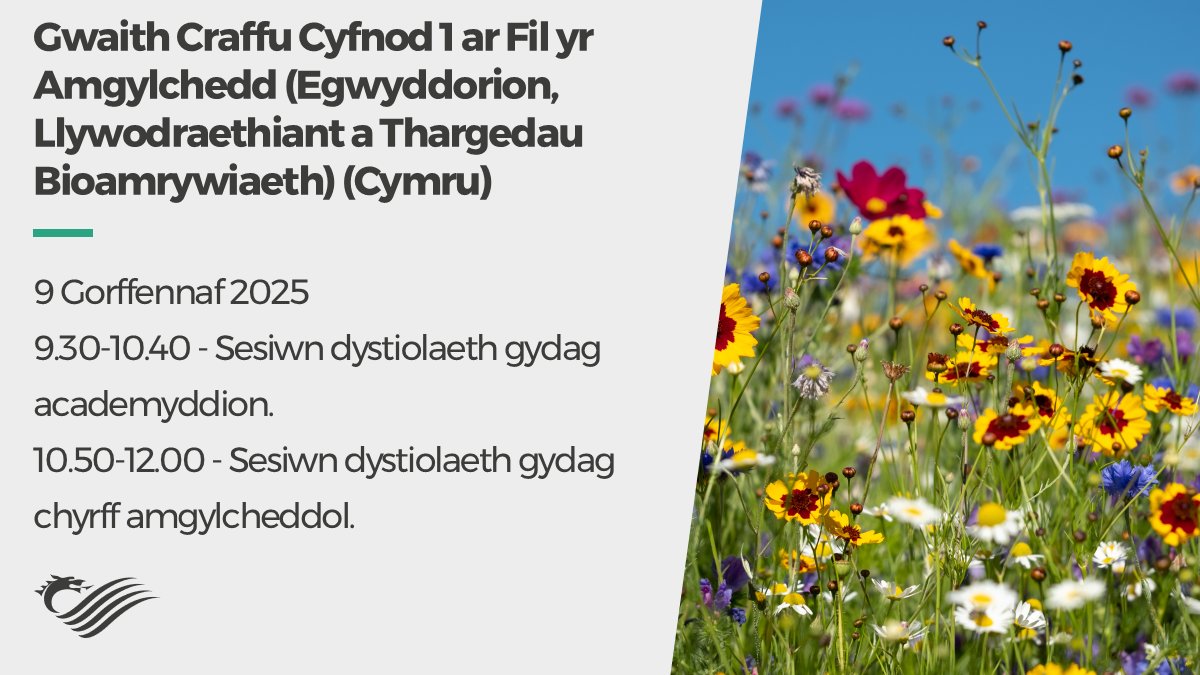 Pwyllgor Newid Hinsawdd, yr Amgylchedd a Seilwaith - Dydd Mercher, 9 Gorffennaf 2025 09.30-12.00.

Gwaith craffu Cyfnod 1 ar y Fil yr Amgylchedd (Egwyddorion, Llywodraethiant a Thargedau Bioamrywiaeth) (Cymru).

Gwyliwch yn fyw ar Senedd.tv 📺