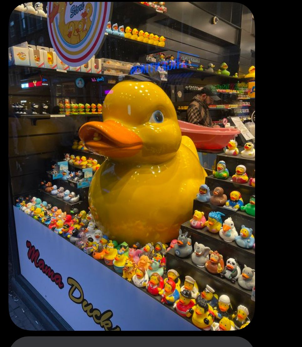 nasil cikmisim canlar