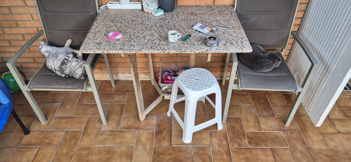 adriana_czm_'s tweet photo. Zic... ies în grădină să stau linistita pe scaun sa beau o cafea...
Scaun(ele) ⬇️
#SimbaTheCat #NayaTheCat #CatsOnTwitter https://t.co/uz48wDg0cM