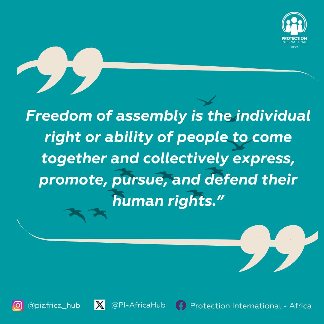 PI_AfricaHub's tweet image. Freedom of assembly is the individual right or ability of people to come together and collectively express, promote, pursue, and defend their human rights.
#HumanRights
#quotesoftheday