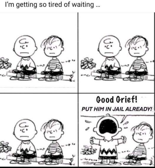 <a href="/gtconway3d/">George Conway ⚖️🇺🇸</a>