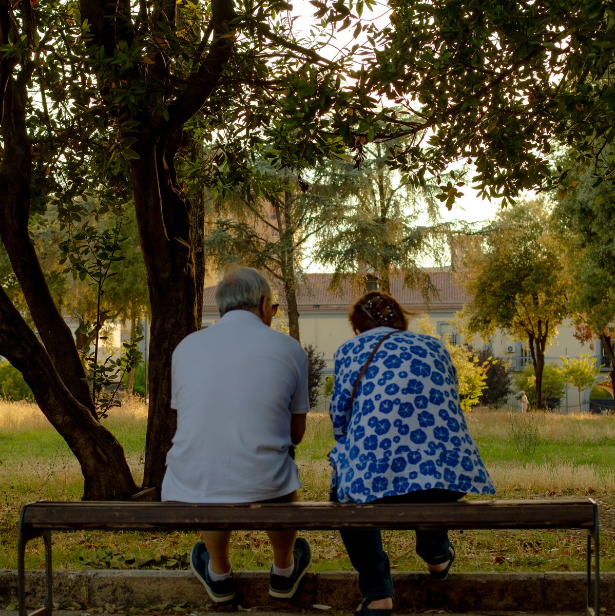 Some of my best shots.