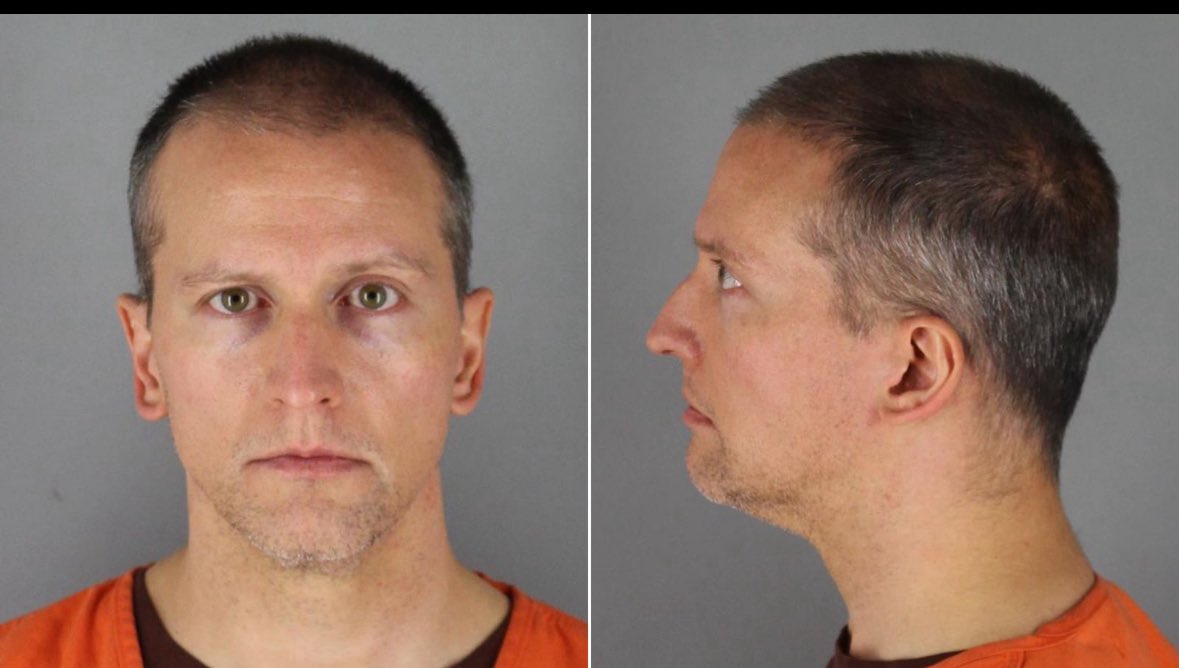 Do you support former police officer Derek Chauvin getting pardoned for the killing of George Floyd ??