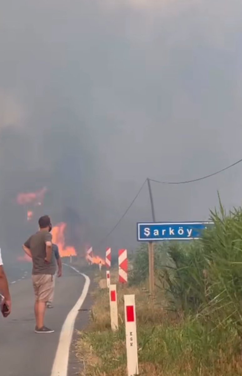 12 saat öncesinde belediye başkanları devletten acil yardım talep ediyor ama bu görüntüler gelmeye devam ediyor. Yangın başladı bir şekilde evet ona sebep olanların da Allah belasını versin lakin halen yeterli destek gelmemesi nedir?
