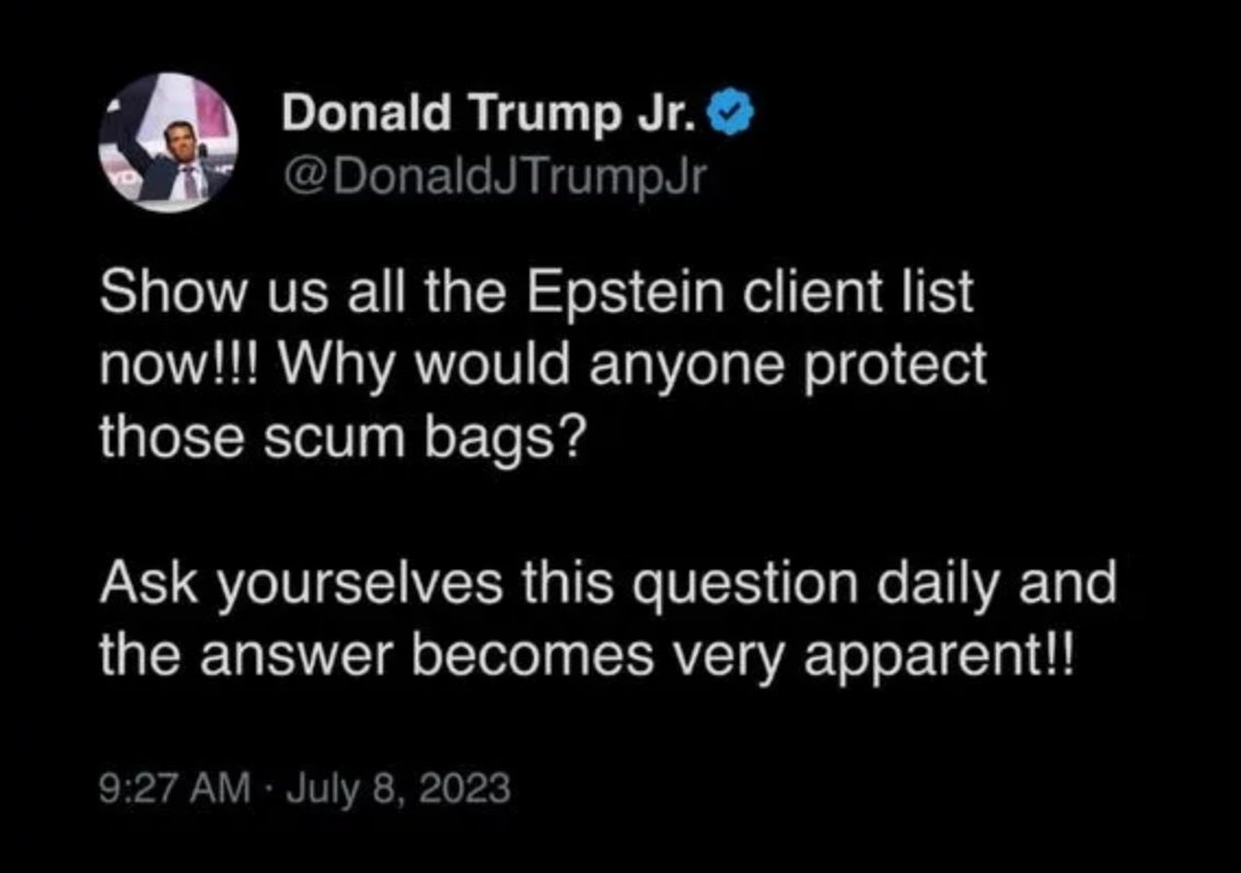 BerlinerSpeaks's tweet image. July 8, 2023. The author is Donald Trump Jr. The post is real and, oh yes, the answer is very apparent. How's it going, Little Donny? How's Daddy? @realDonaldTrump Traffic anyone lately? #realscumbags