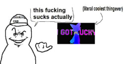 roc01 tweet media