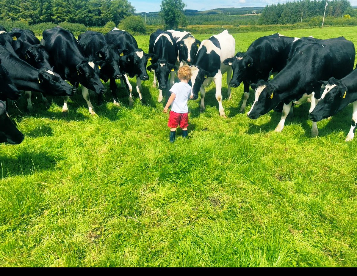 Niall Reidy tweet media