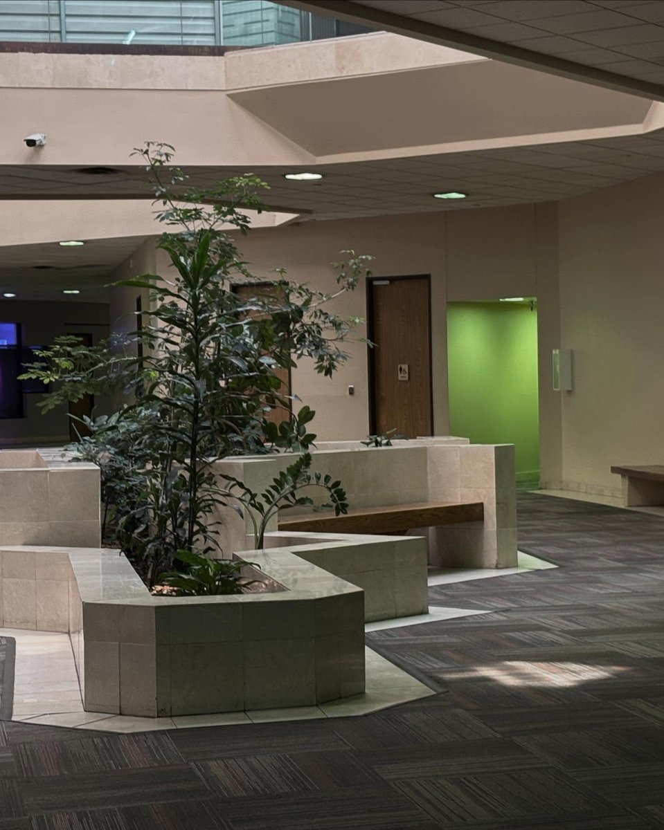 Nameless Warning tweet media