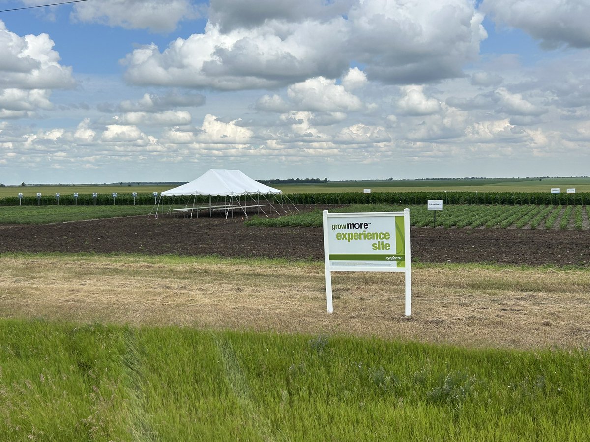 Curt Lee tweet media