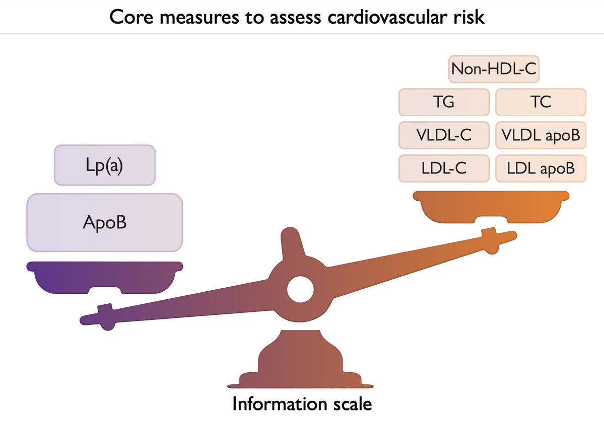 drpablocorral's tweet image. ☝️No estimate of the apoB lipoprotein-related risk of CVD is complete without measurement of both apoB and Lp(a)
ApoB is the true core marker of atherogenic particle burden, and Lp(a) is an independent, non-negotiable player in cardiovascular risk.
✅ ApoB reflects the number…