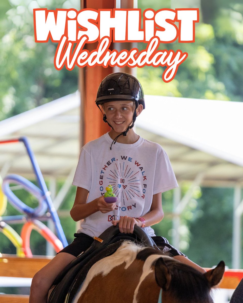 VictoryJunction's tweet image. You can help create memories like this!🫵✨🐎
Shop our wish list to support the experiences that make Victory Junction so special. Click the link to shop now! bit.ly/3sCi59U