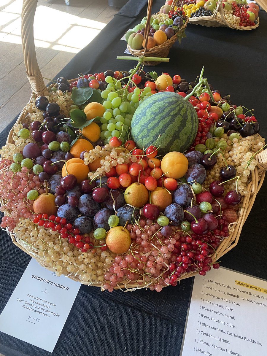 medwynsofangles's tweet image. A fantastic basket of fruit from Adrian Baggaley beautifully arranged with high quality Sumer fruit.