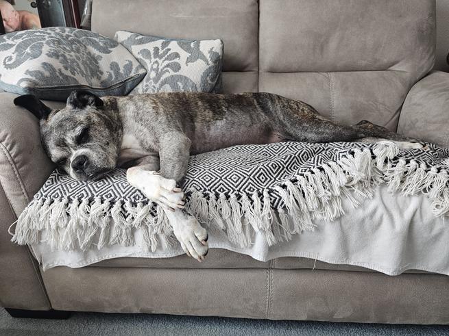 #TourDeCouch