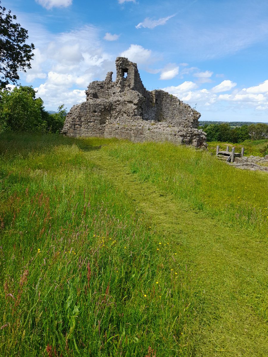 Ewch i ymweld â Castell hanesyddol ac ysbrydoledig Caergwrle yr haf hwn. Mwynhewch y golygfeydd godidog a darganfyddwch lawer o hanes.
Visit the historic and awe inspiring Caergwrle Castle this summer season. Take in the breathtaking views and discover lots of history.