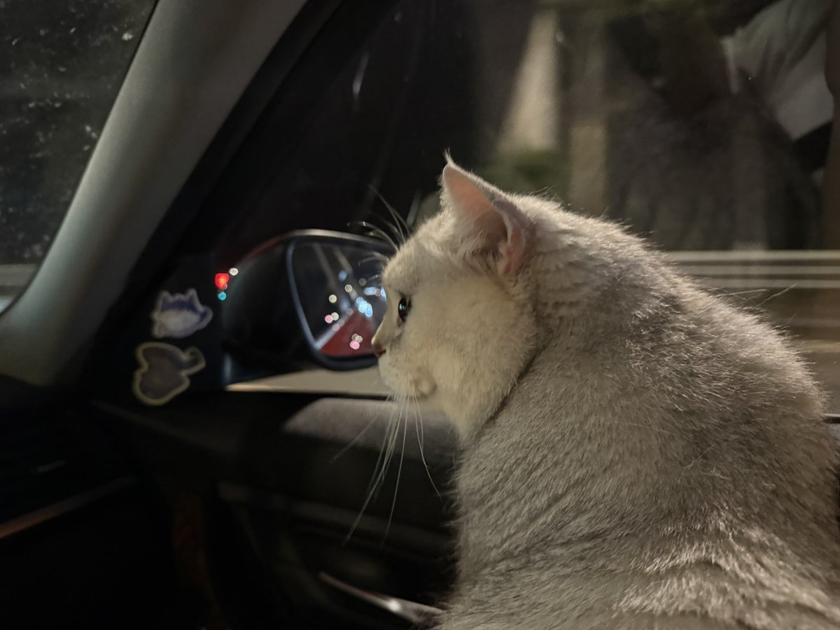 SoyaOAO's tweet image. 🐱🚗