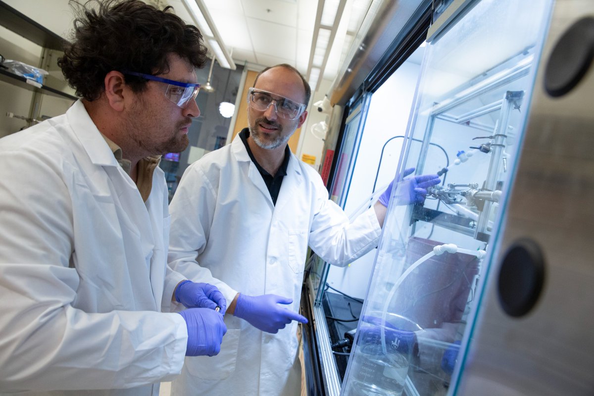 SSEBEatASU's tweet image. ๐ @ASUEngineering Professors Paul Westerhoff's & Sergi Garcia-Segura's #research laid the groundwork that led to #startup H2Optic Insights, which was awarded a @NASA grant to develop #disinfection tech for #space missions. ow.ly/hA2150WpzFe๐ง#EnvironmentalEngineering #LED