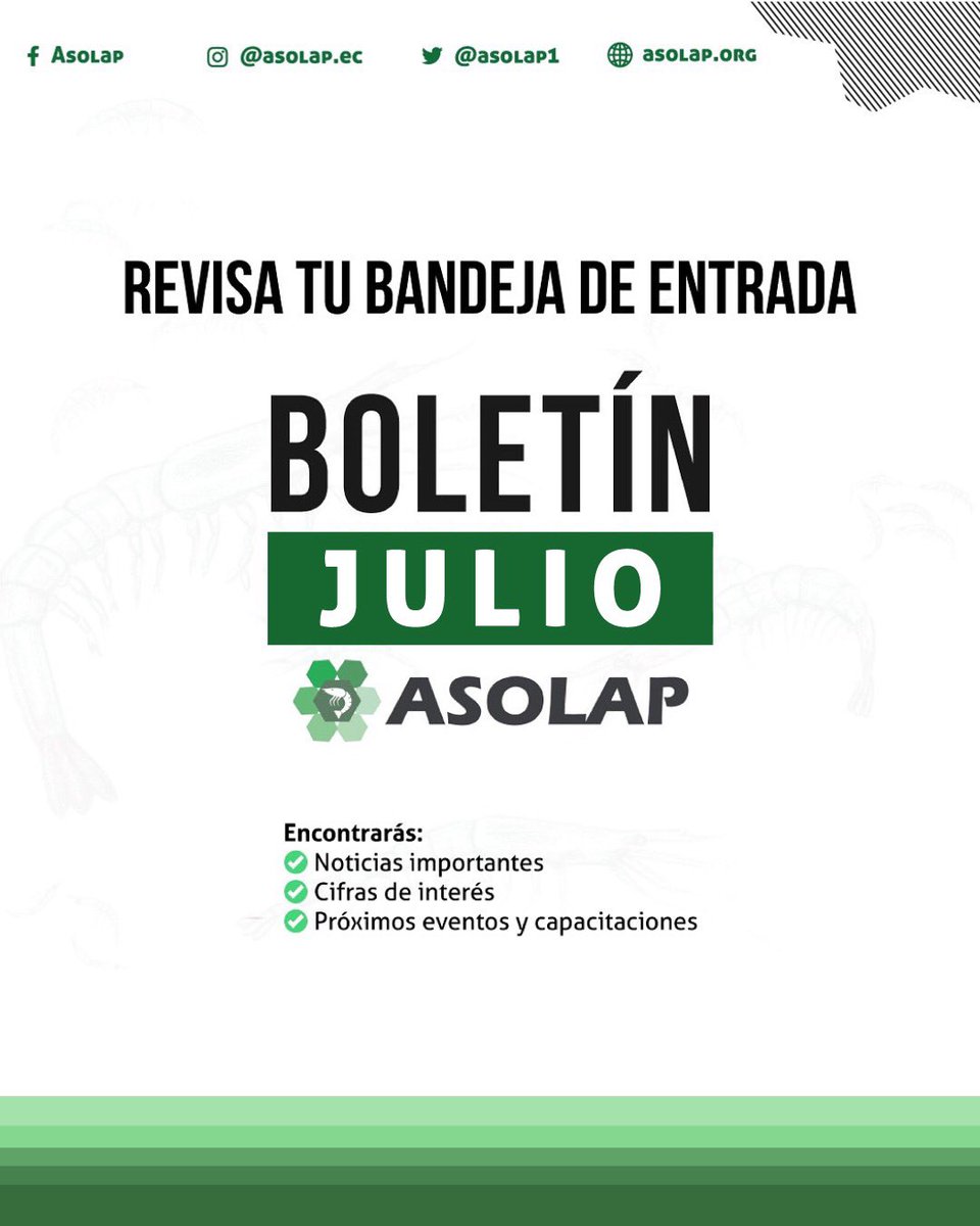 💚Estimados Miembros de Asolap ya se encuentra en su bandeja de entrada el boletín de JULIO con toda la información relevante para el sector larvicultor. 🦐Revisen sus correos 📰 #Boletin #Asolap #larvicultura