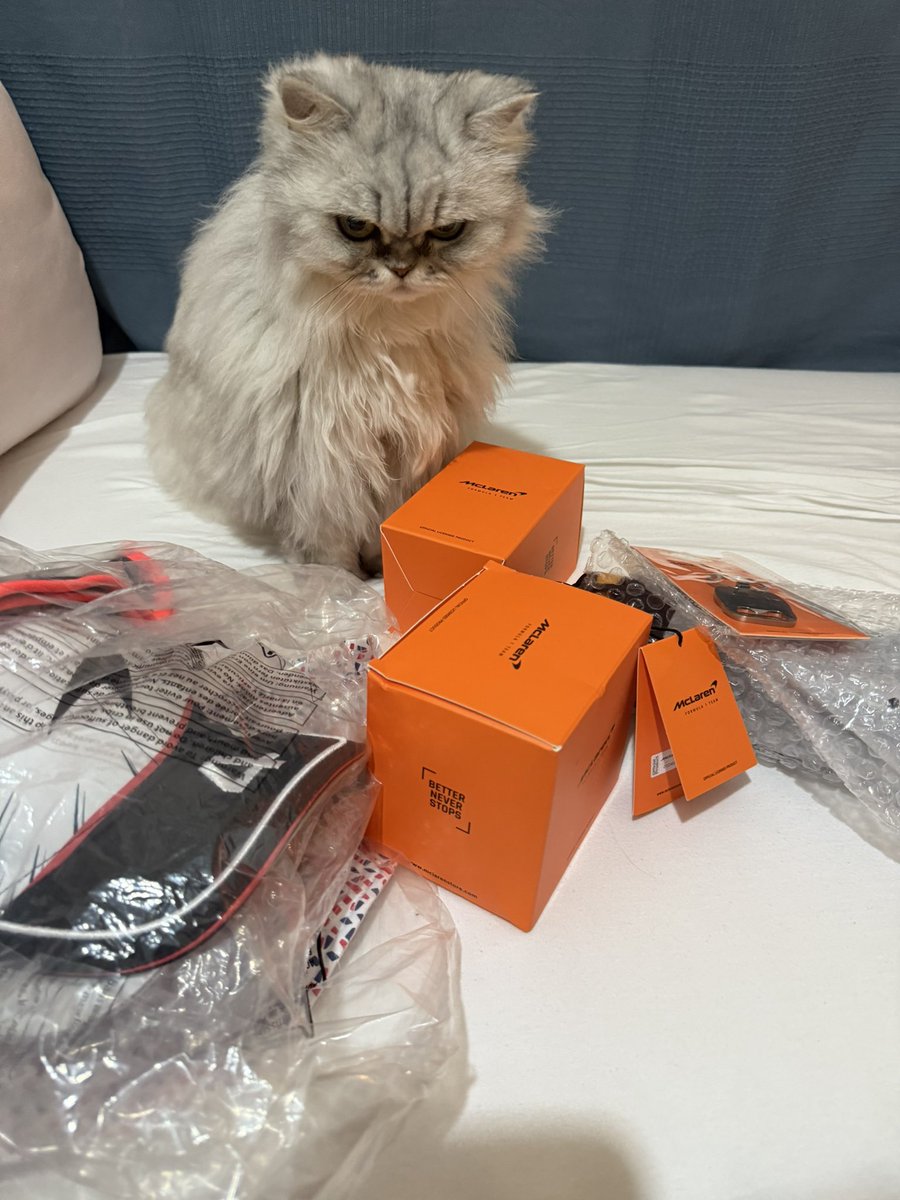 Welcome home baby 🖤 Tifosi kediyi bile Papaya yaptık.