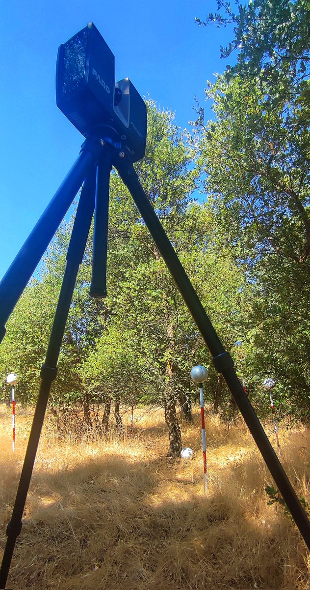 MndzMery's tweet image. #Quercussuber is not only #cork🪵.  Today we were #scanning some #trees🌳 to quantify #biomass. Combining #traditional and #CRS features to improve #biomass #estimation in #forestry. @rafacalama2 @oldpine17 @INIA_es @CSIC @CSICdivulga #research #hotday #MFE #DINAMO