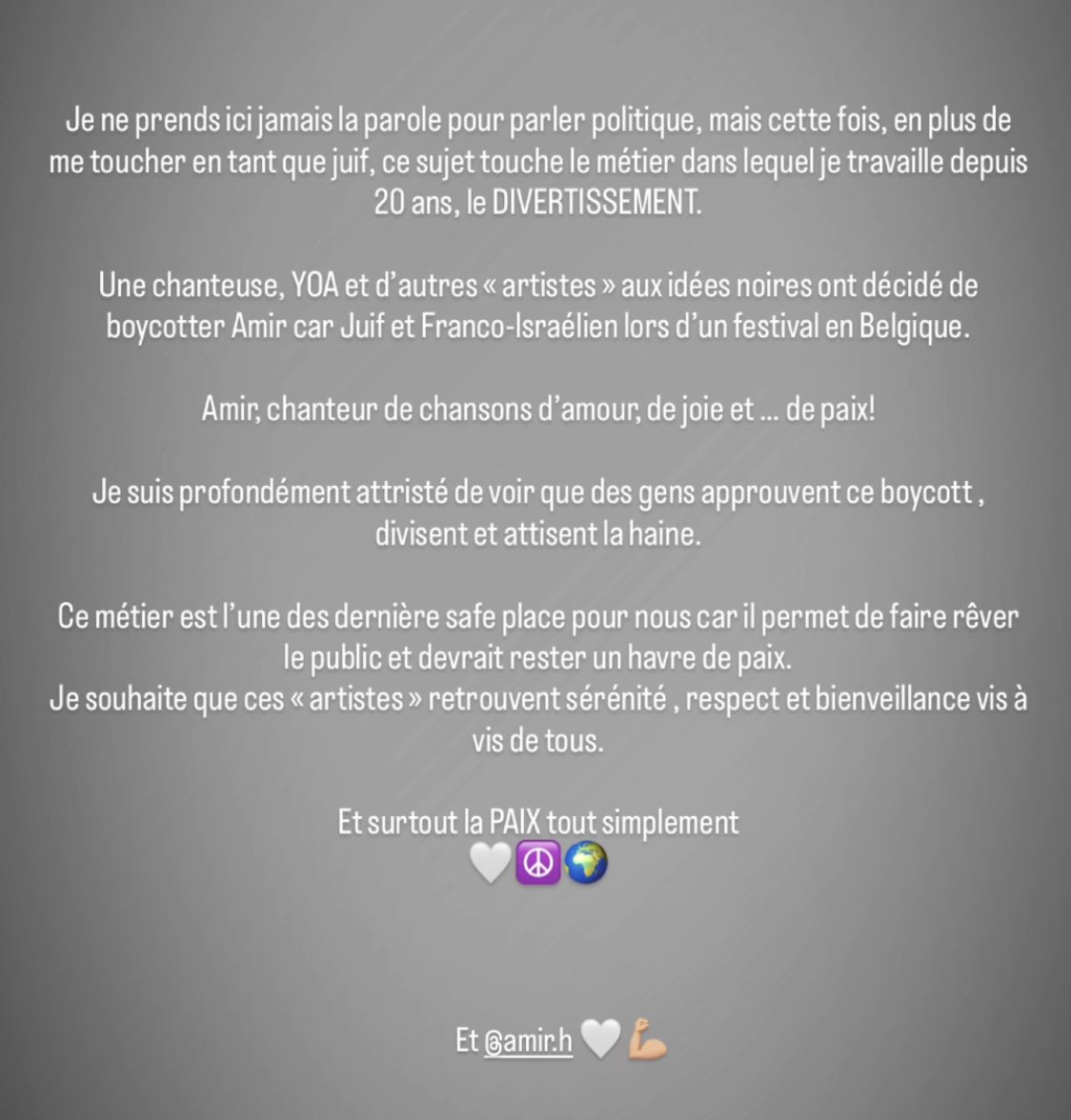 Pour Amir 🤍 , contre ces horreurs d’artistes malheureux !