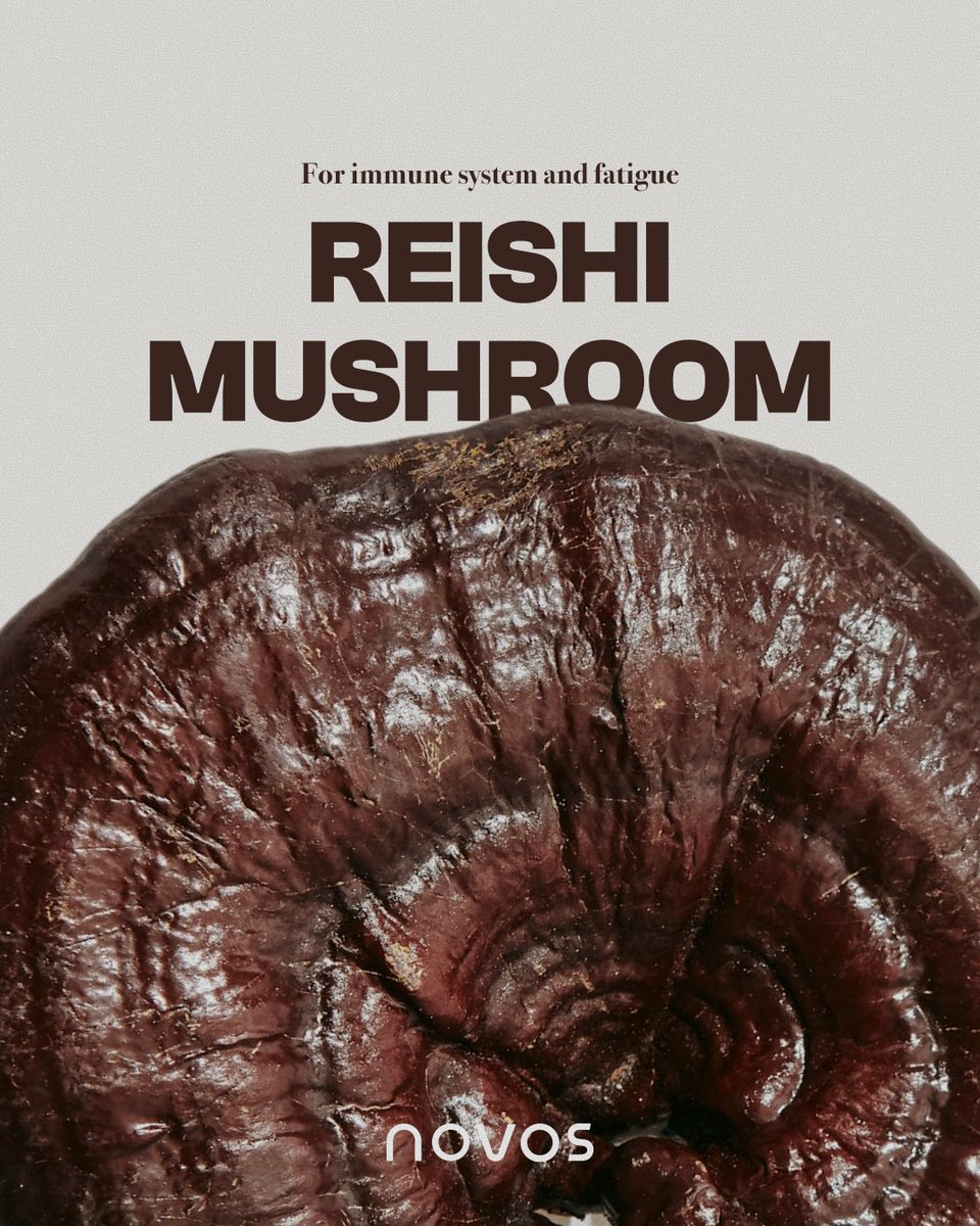 Reishi mushrooms are rich in beta-glucans and triterpenoids—compounds shown to support immune modulation, reduce inflammation, combat oxidative stress, and promote cardiovascular health. A true adaptogen, reishi helps the body balance stress and supports overall longevity.