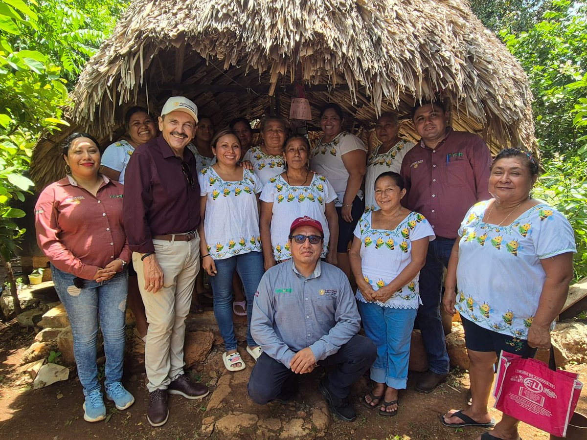carlosberlinm's tweet image. ✅ Impulsando el campo con nuestras raíces y el conocimiento técnico
Hoy tuve el honor de visitar unidades de producción en los municipios de Chumayel, la comisaría de Tipikal en Maní y Xaya en Tekax.
Cada una de estas experiencias es un reflejo del compromiso, esfuerzo y…
