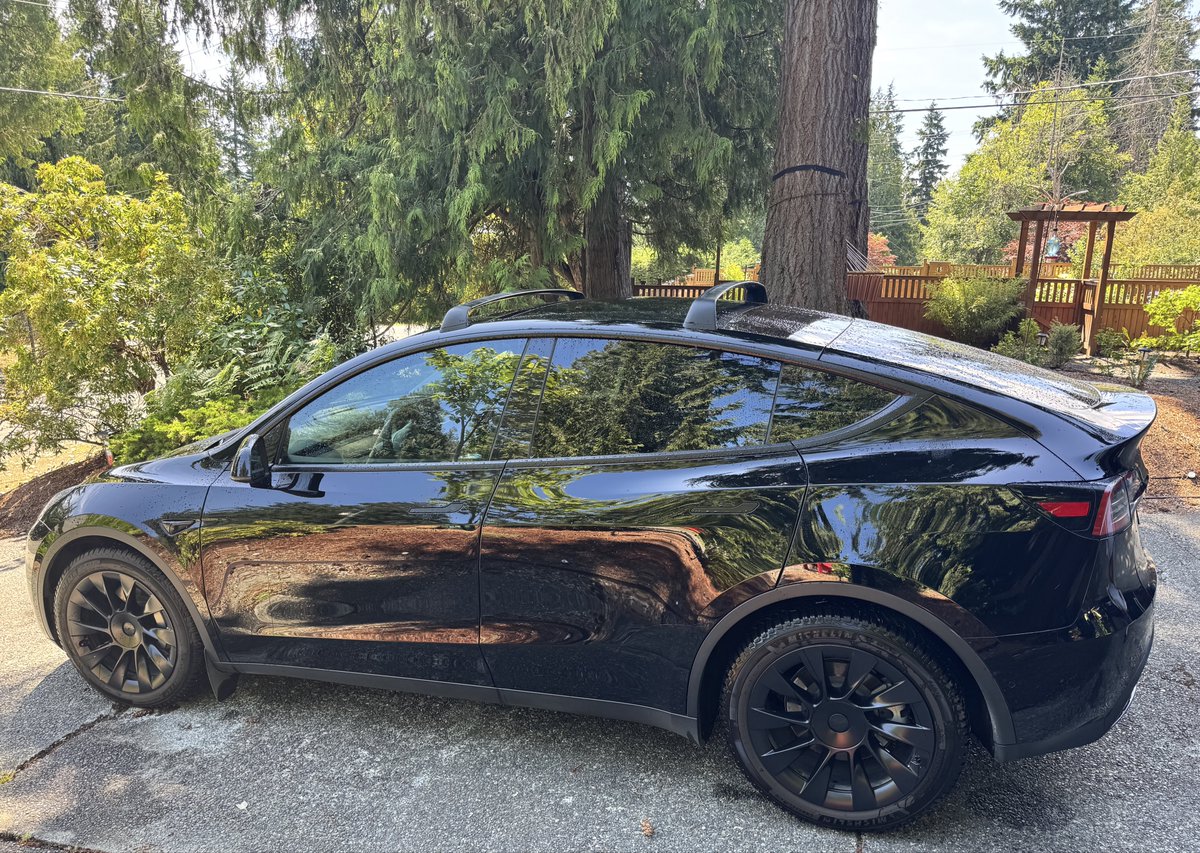 Clean as a whistle ✨ whatever that means