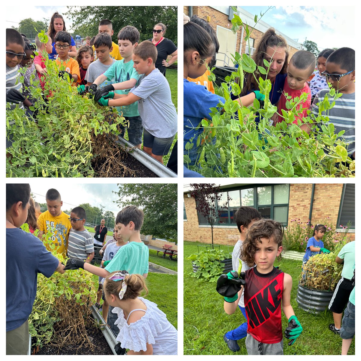 Tamme Manganelli tweet media