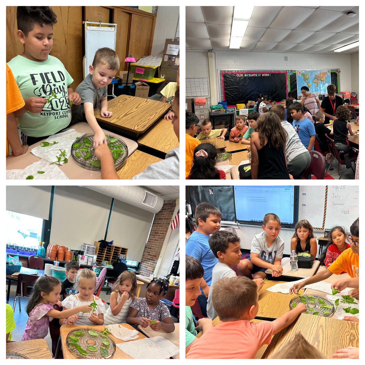 Tamme Manganelli tweet media